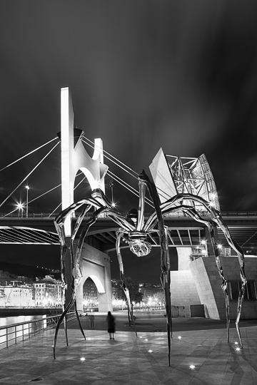 Bilbao - Guggenheim Museum #13