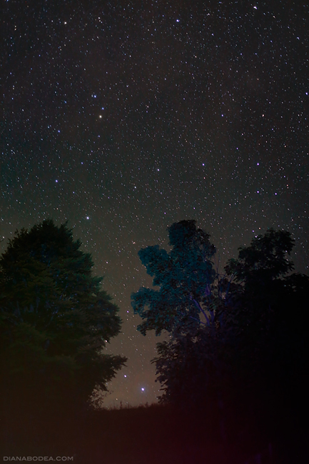 Garda de Sus - Romania