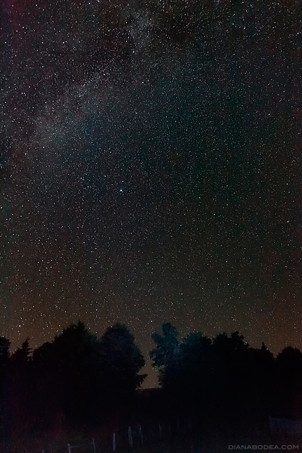 Garda de Sus - Romania