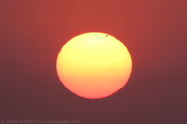 Transit of Venus #3